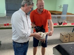 Tierbesprechung 2022 in Weener / Ostfriesland